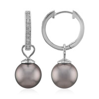 Tahitian Pearl Silver Earrings (TPC)