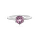 Rose de France Amethyst Silver Ring