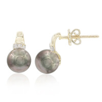 9K Tahitian Pearl Gold Earrings (TPC)