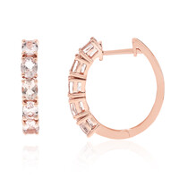 10K AAA Morganite Gold Earrings