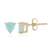 14K Paraiba Opal Gold Earrings (AMAYANI)