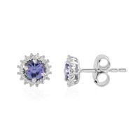 Tanzanite Silver Earrings