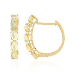 10K AAA Welo Opal Gold Earrings