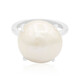 Freshwater pearl Silver Ring (TPC)