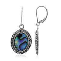 Abalone Shell Silver Earrings (Art of Nature)