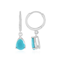 Turquoise Silver Earrings