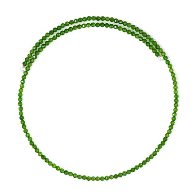 Russian Diopside Steel Choker (Riya)