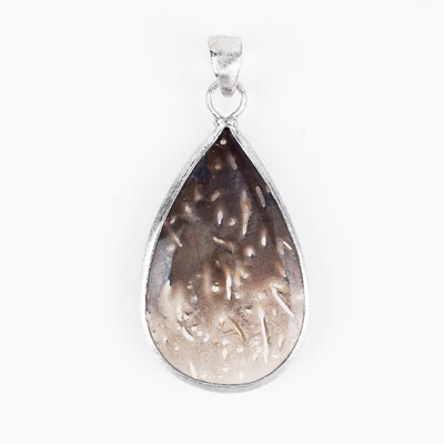 Petrified Wood Silver Pendant