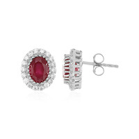 Madagascar Ruby Silver Earrings