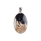 Petrified Palm Wood Silver Pendant