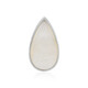 Mother of Pearl Silver Pendant (MONOSONO COLLECTION)