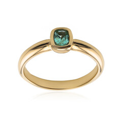 9K Paraiba Tourmaline Gold Ring (CUSTODANA)