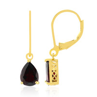 Garnet Silver Earrings