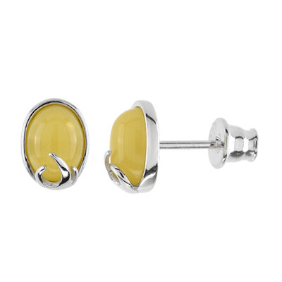 Baltic Amber Silver Earrings (dagen)