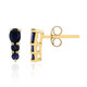 9K Kanchanaburi Sapphire Gold Earrings