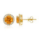 14K Mandarin Garnet Gold Earrings (CIRARI)