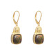 Ammolite Silver Earrings