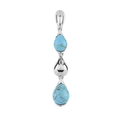 Turquoise Silver Pendant (dagen)