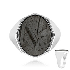 Aletai-Meteorite Silver Ring