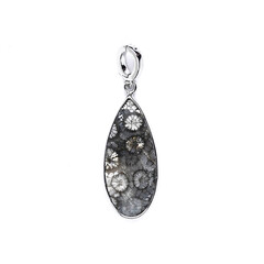 Petrified Coral Silver Pendant