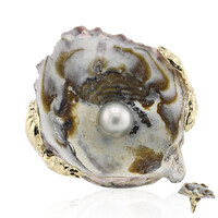 Shell Silver Ring (TPC)