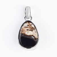 Petrified Palm Wood Silver Pendant