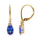 14K AAA Tanzanite Gold Earrings (CIRARI)