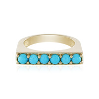 Sleeping Beauty Turquoise Silver Ring