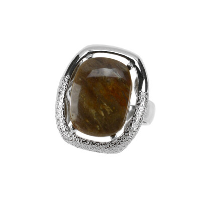 Petrified Wood Silver Ring (dagen)