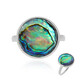 Abalone Shell Silver Ring