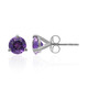 14K Amethyst Gold Earrings (CIRARI)