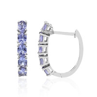 Tanzanite Silver Earrings