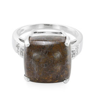 Dinosaur Bone Silver Ring