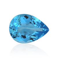 Marambaia Topaz other gemstone 12.01 ct