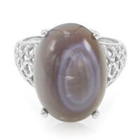 Botswana Agate Silver Ring