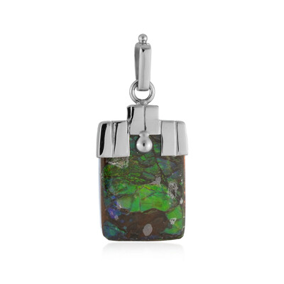 Ammolite Silver Pendant