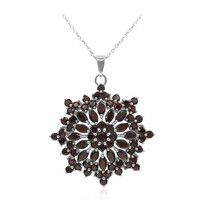 Garnet Silver Necklace