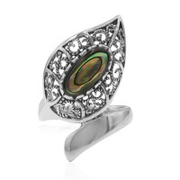 Abalone Shell Silver Ring (Art of Nature)