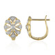 9K SI1 (G) Diamond Gold Earrings (Annette)