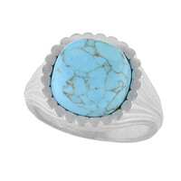 Turquoise Silver Ring