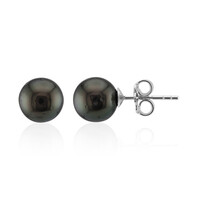 Tahitian Pearl Silver Earrings (TPC)