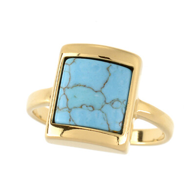 Turquoise Silver Ring (dagen)