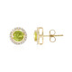 9K Sphene Gold Earrings