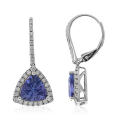 14K AAA Tanzanite Gold Earrings (CIRARI)