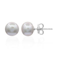 Silver Freshwater Pearl Silver Earrings (TPC)