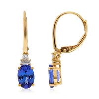 14K AAA Tanzanite Gold Earrings (CIRARI)