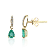 10K AAA Zambian Emerald Gold Earrings