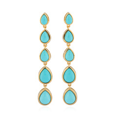 Sleeping Beauty Turquoise Silver Earrings (de Melo)