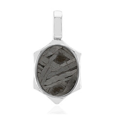 Aletai-Meteorite Silver Pendant