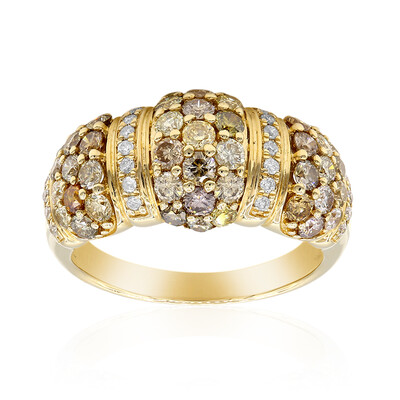 14K SI2 Fancy Diamond Gold Ring (CIRARI)